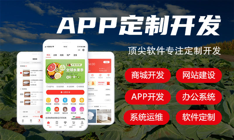 三級(jí)分銷系統(tǒng)開發(fā)的市場(chǎng)價(jià)格行情如何？