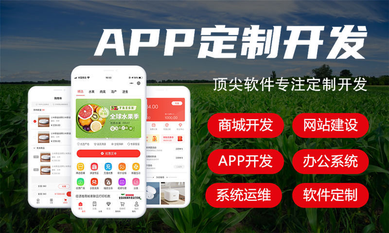南京企業(yè)如何通過(guò)小程序開發(fā)突破發(fā)展瓶頸實(shí)現(xiàn)高效運(yùn)營(yíng)