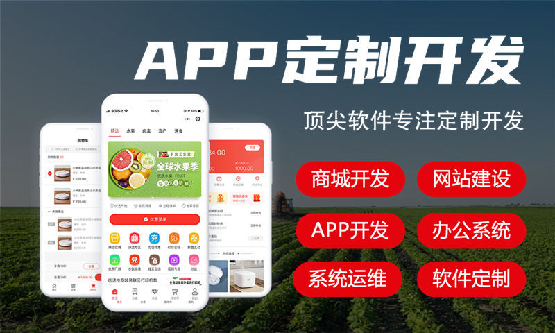 南京房地產(chǎn)系統(tǒng)開發(fā)解決方案與功能計(jì)劃書