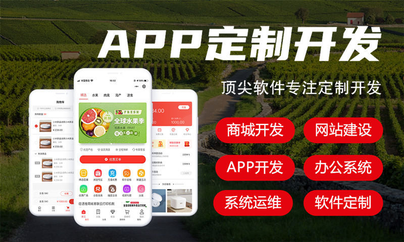 南京小程序開發(fā)助力企業(yè)破局困境實現(xiàn)商業(yè)價值最大化